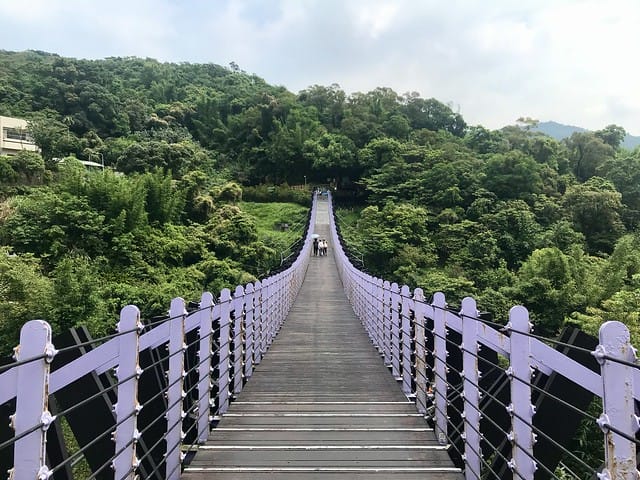 【台北內湖景點】夢幻紫色白石湖吊橋、浪漫的同心池、如號角響起的鐵砲百合、清新高雅的牡丹蓮盛開啦!還有夫妻樹/一處隱藏在台北近郊的後花園、假日出遊、戶外踏青、健行好去處柚子芳 - 第10張圖 白石湖
