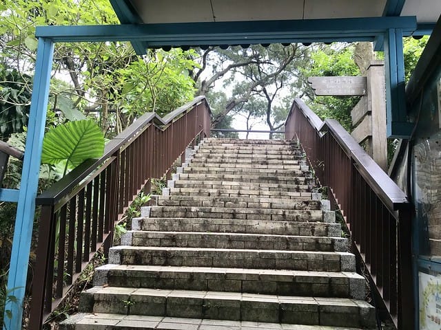 【台北內湖景點】夢幻紫色白石湖吊橋、浪漫的同心池、如號角響起的鐵砲百合、清新高雅的牡丹蓮盛開啦!還有夫妻樹/一處隱藏在台北近郊的後花園、假日出遊、戶外踏青、健行好去處柚子芳 - 第25張圖 白石湖