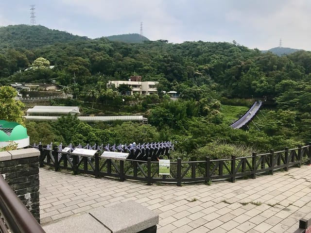 【台北內湖景點】夢幻紫色白石湖吊橋、浪漫的同心池、如號角響起的鐵砲百合、清新高雅的牡丹蓮盛開啦!還有夫妻樹/一處隱藏在台北近郊的後花園、假日出遊、戶外踏青、健行好去處柚子芳 - 第5張圖 白石湖