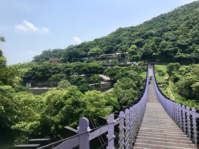 【台北內湖景點】夢幻紫色白石湖吊橋、浪漫的同心池、如號角響起的鐵砲百合、清新高雅的牡丹蓮盛開啦!還有夫妻樹/一處隱藏在台北近郊的後花園、假日出遊、戶外踏青、健行好去處柚子芳 - 第12張圖 白石湖吊橋同心池