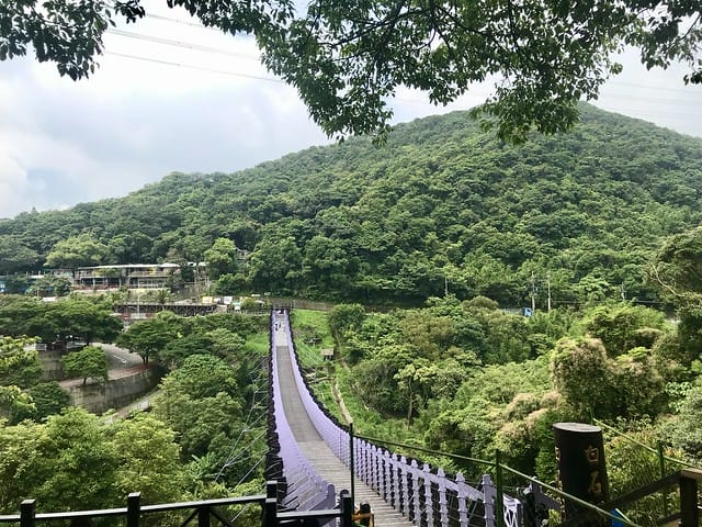 【台北內湖景點】夢幻紫色白石湖吊橋、浪漫的同心池、如號角響起的鐵砲百合、清新高雅的牡丹蓮盛開啦!還有夫妻樹/一處隱藏在台北近郊的後花園、假日出遊、戶外踏青、健行好去處柚子芳 - 第13張圖 白石湖