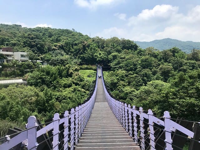 【台北內湖景點】夢幻紫色白石湖吊橋、浪漫的同心池、如號角響起的鐵砲百合、清新高雅的牡丹蓮盛開啦!還有夫妻樹/一處隱藏在台北近郊的後花園、假日出遊、戶外踏青、健行好去處柚子芳 - 第6張圖 白石湖吊橋同心池