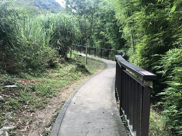 【台北內湖景點】夢幻紫色白石湖吊橋、浪漫的同心池、如號角響起的鐵砲百合、清新高雅的牡丹蓮盛開啦!還有夫妻樹/一處隱藏在台北近郊的後花園、假日出遊、戶外踏青、健行好去處柚子芳 - 第17張圖 白石湖