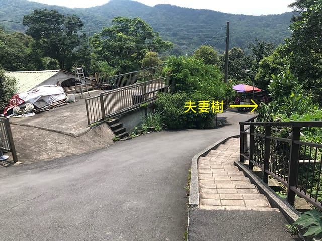 【台北內湖景點】夢幻紫色白石湖吊橋、浪漫的同心池、如號角響起的鐵砲百合、清新高雅的牡丹蓮盛開啦!還有夫妻樹/一處隱藏在台北近郊的後花園、假日出遊、戶外踏青、健行好去處柚子芳 - 第66張圖 白石湖吊橋同心池