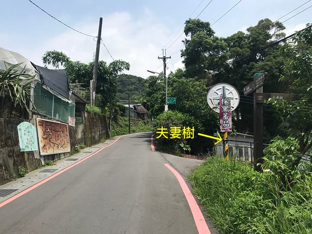 【台北內湖景點】夢幻紫色白石湖吊橋、浪漫的同心池、如號角響起的鐵砲百合、清新高雅的牡丹蓮盛開啦!還有夫妻樹/一處隱藏在台北近郊的後花園、假日出遊、戶外踏青、健行好去處柚子芳 - 第65張圖 白石湖吊橋同心池