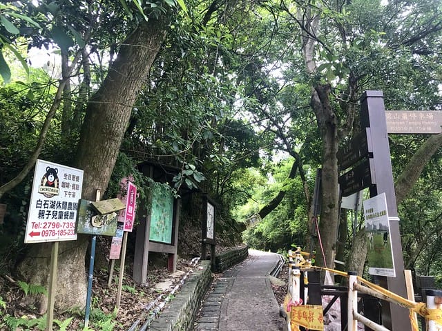 【台北內湖景點】夢幻紫色白石湖吊橋、浪漫的同心池、如號角響起的鐵砲百合、清新高雅的牡丹蓮盛開啦!還有夫妻樹/一處隱藏在台北近郊的後花園、假日出遊、戶外踏青、健行好去處柚子芳 - 第16張圖 白石湖