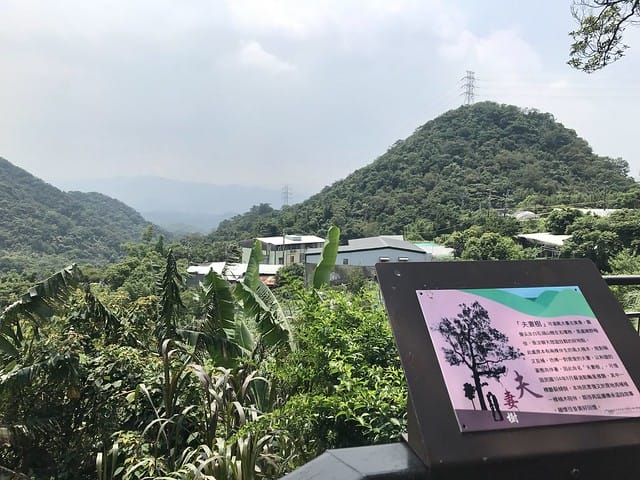 【台北內湖景點】夢幻紫色白石湖吊橋、浪漫的同心池、如號角響起的鐵砲百合、清新高雅的牡丹蓮盛開啦!還有夫妻樹/一處隱藏在台北近郊的後花園、假日出遊、戶外踏青、健行好去處柚子芳 - 第71張圖 白石湖