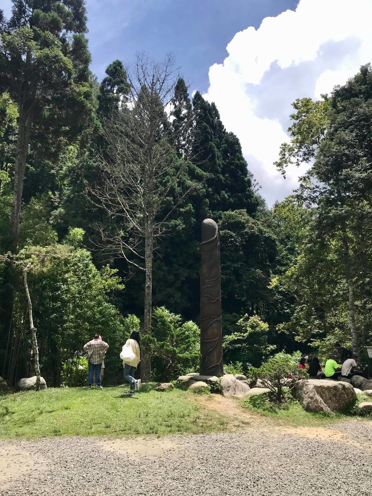 106774645_3282880715067046_5642892033265272650_o.jpg