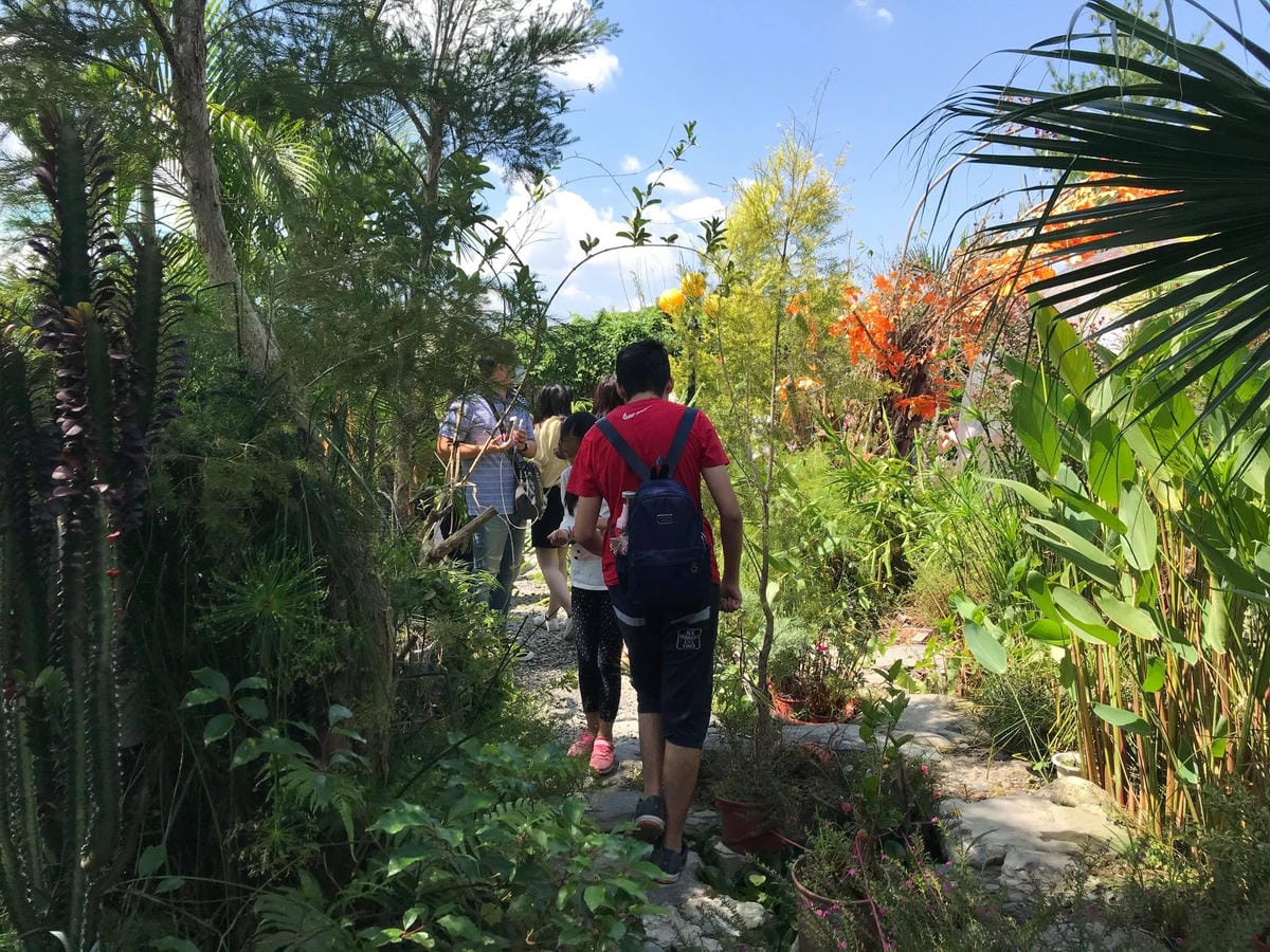 120897350_4380433998693220_8790551905247227728.jpg