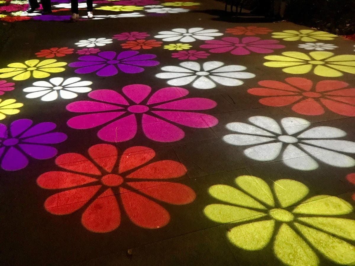 F02590BF-67ED-4589-A2E3-AEFBD4C80F8C.jpg