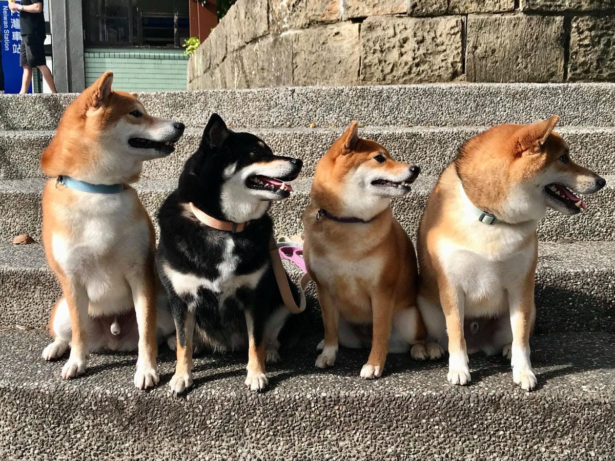 123027478_718947348966518_1209548004523696807.jpg