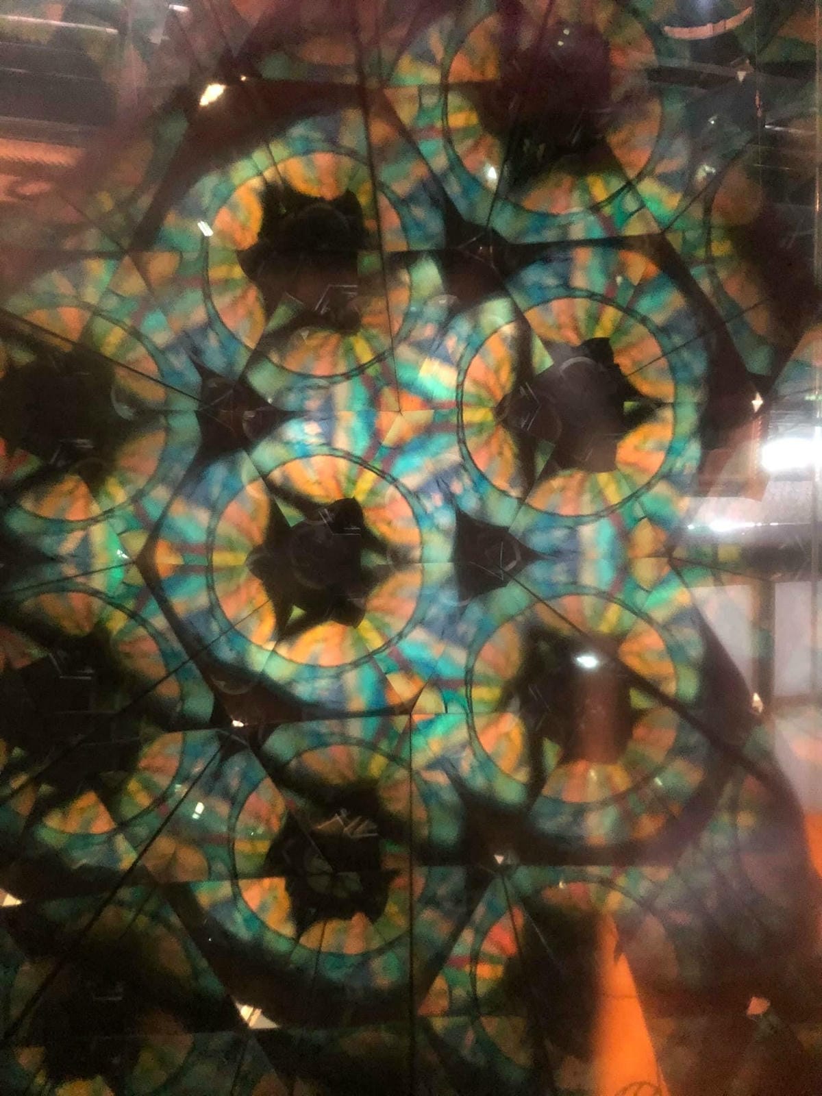 169347675_4068341306520979_2581462884185321594.jpg