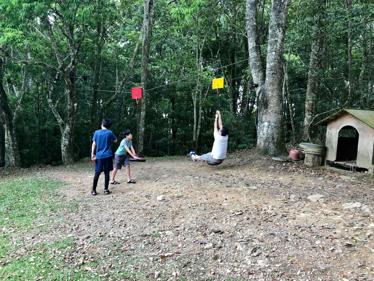 179517521_4140383425983433_2070093372662643957.jpg 179517521_4140383425983433_2070093372662643957.jpg