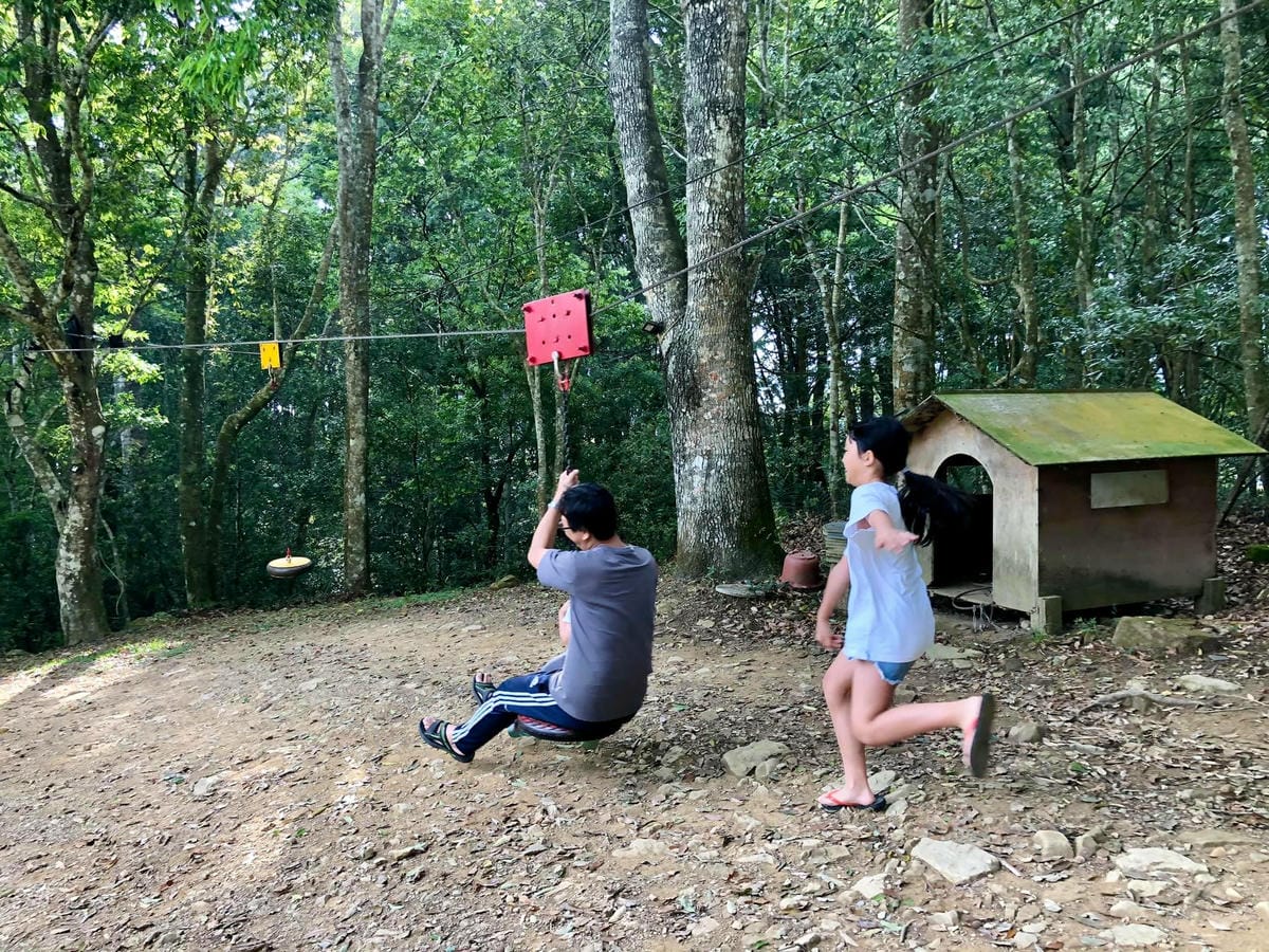 181244100_4140383365983439_4613847500759553661.jpg 181244100_4140383365983439_4613847500759553661.jpg