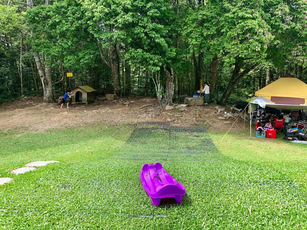 180760972_4140383185983457_5958399742923807120.jpg 180760972_4140383185983457_5958399742923807120.jpg