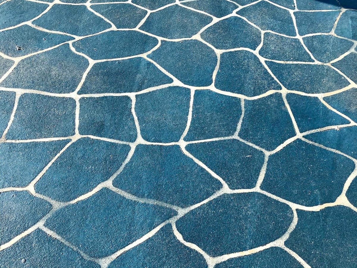244088685_4590352660986505_4741048204384994033.jpg 244088685_4590352660986505_4741048204384994033.jpg
