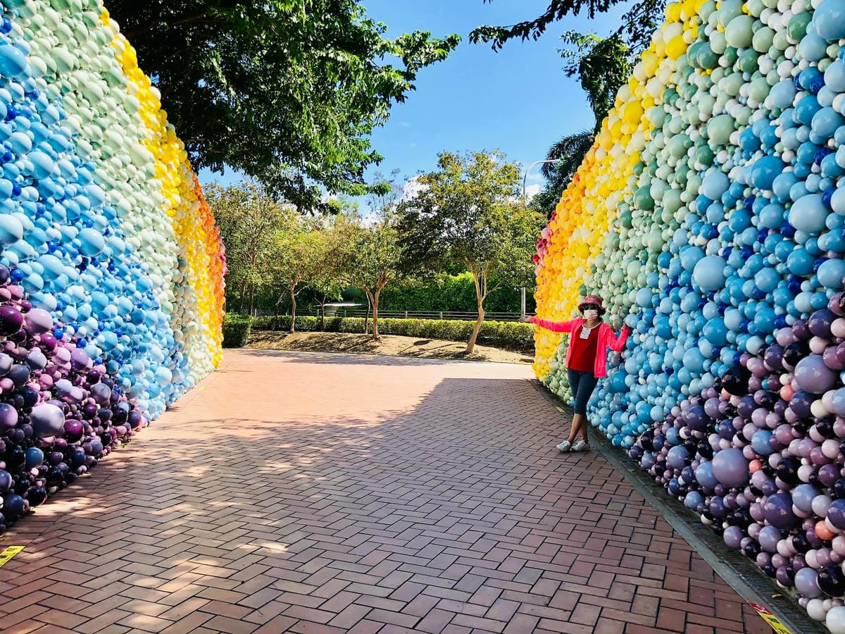 243322541_4605831952771909_9122710468670405095.jpg 243322541_4605831952771909_9122710468670405095.jpg