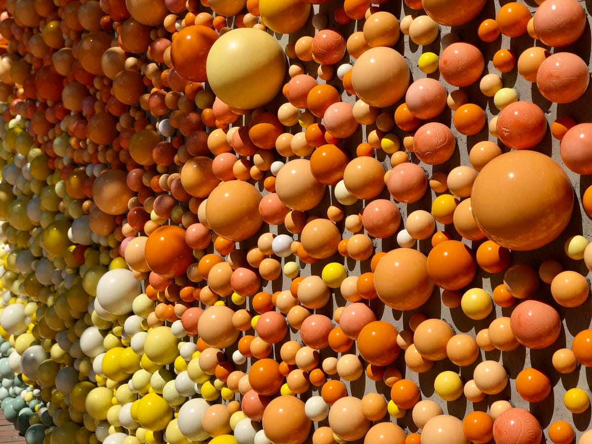 243663282_4605833199438451_6551487490961285286.jpg 243663282_4605833199438451_6551487490961285286.jpg