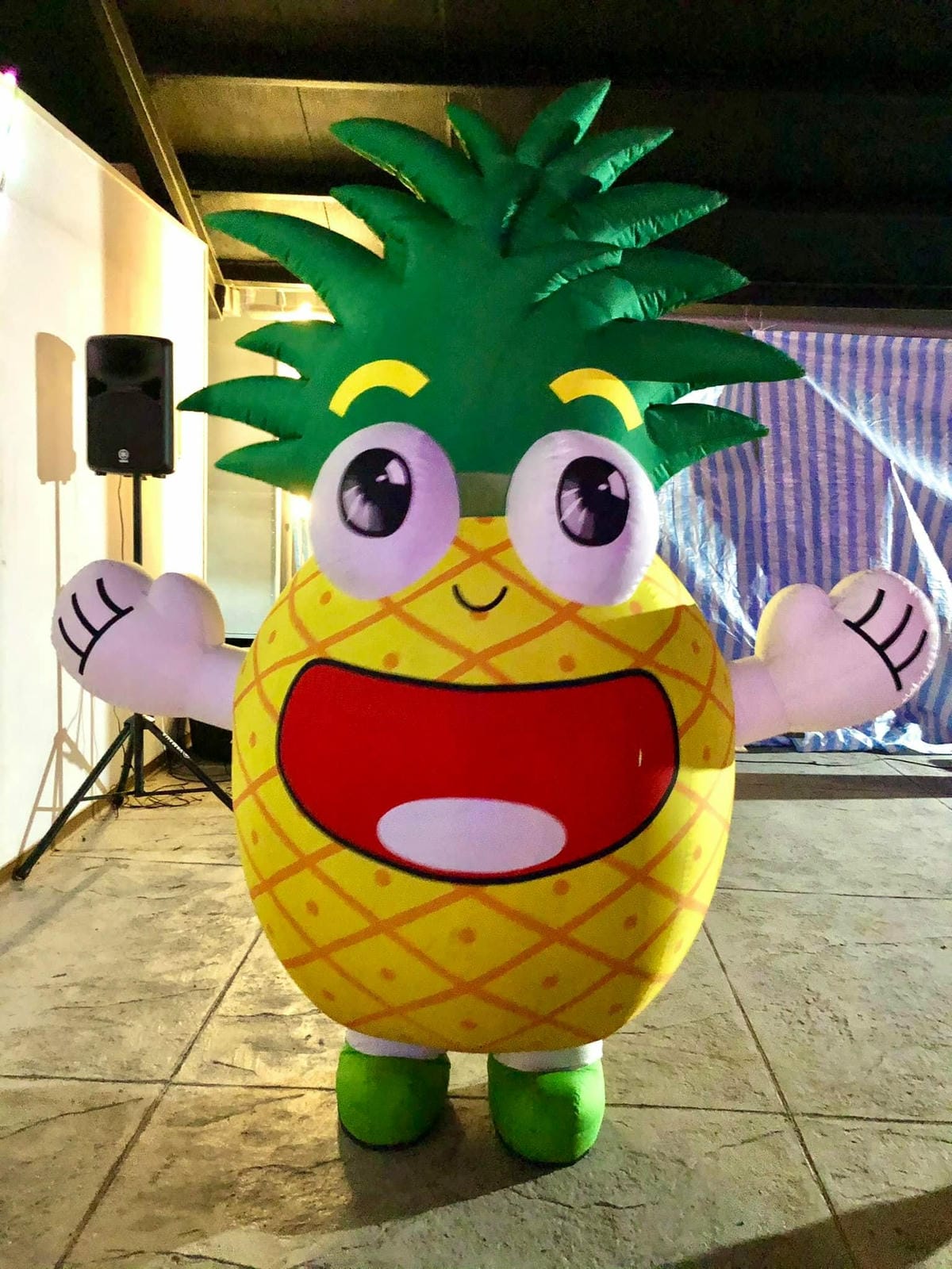 247092104_4652058394815931_2468309139444012809.jpg 247092104_4652058394815931_2468309139444012809.jpg