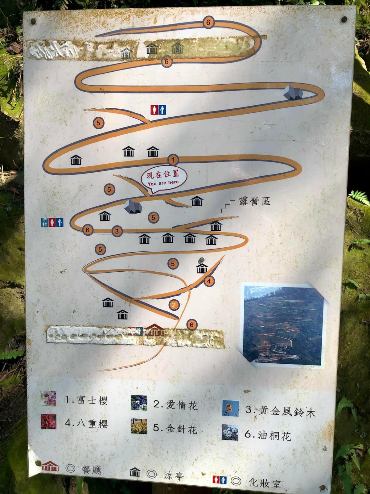 269105617_4842662422422193_9072516121435816273.jpg