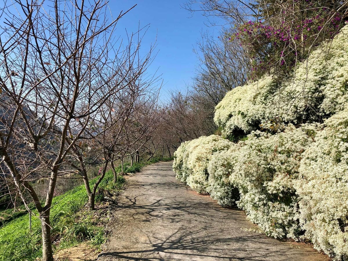 266785996_4839378302750605_3257787660026919567.jpg