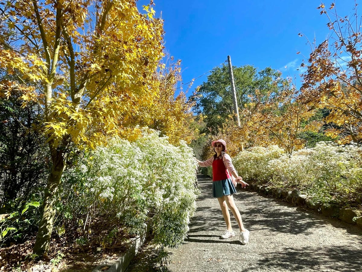 267156496_4839370999418002_7950981054751029037.jpg