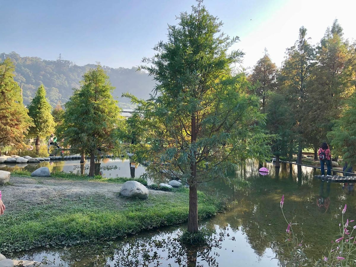 268606779_4847884228566679_3423987805411137331.jpg 268606779_4847884228566679_3423987805411137331.jpg