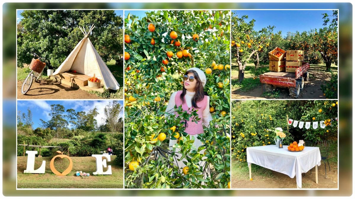 270155972_4905521526136282_6094493434511994844.jpg