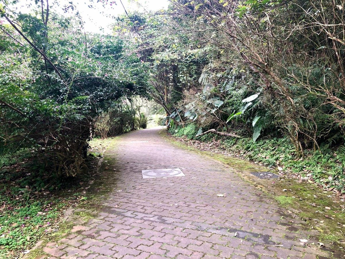 270082400_4897414373613664_7959563547631714644.jpg