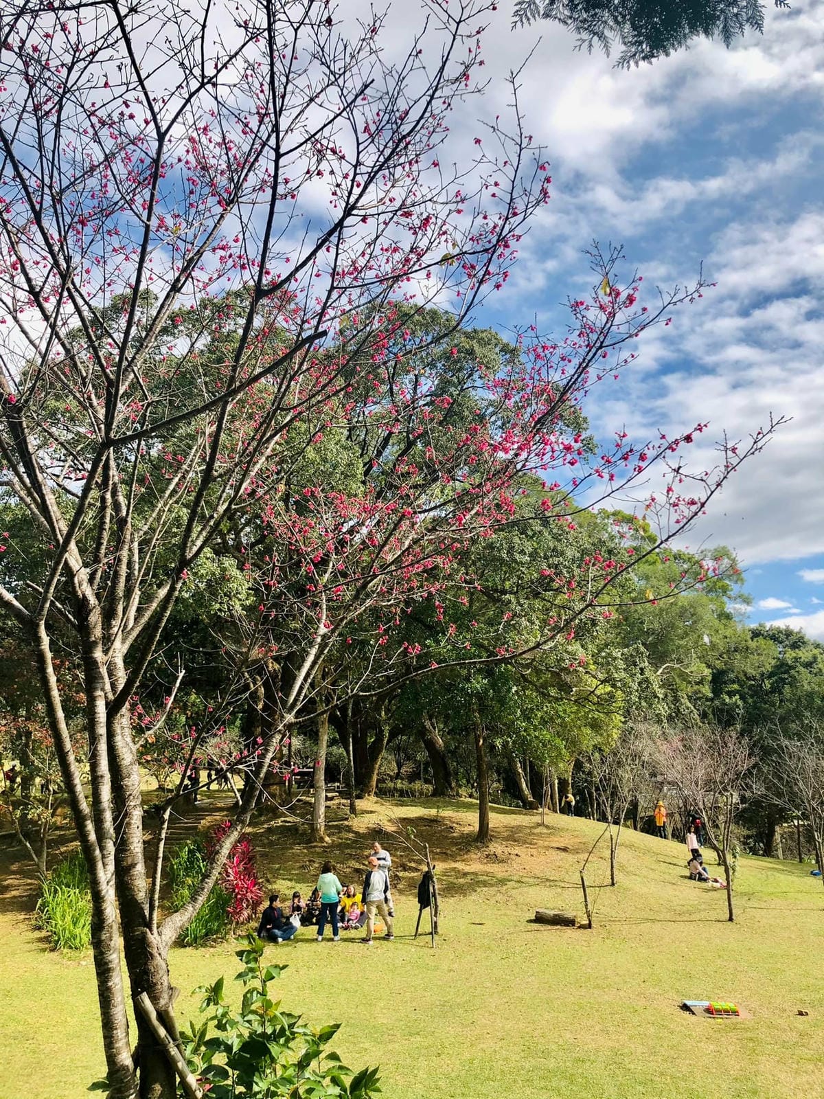 270553671_4897414526946982_2821989763259877721.jpg