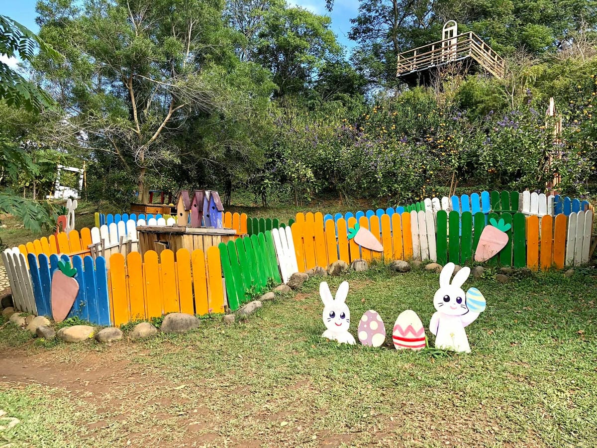 269324295_4905527256135709_5650241854490852446.jpg 269324295_4905527256135709_5650241854490852446.jpg