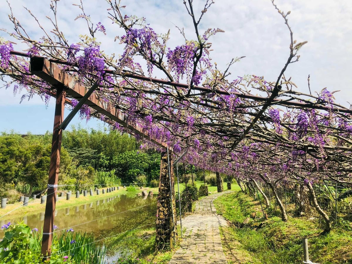 275664906_5142063012482131_3399806010245518359.jpg