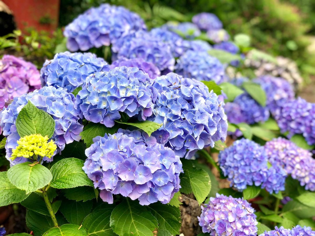 279112111_5267327519955679_1544313225073714881.jpg