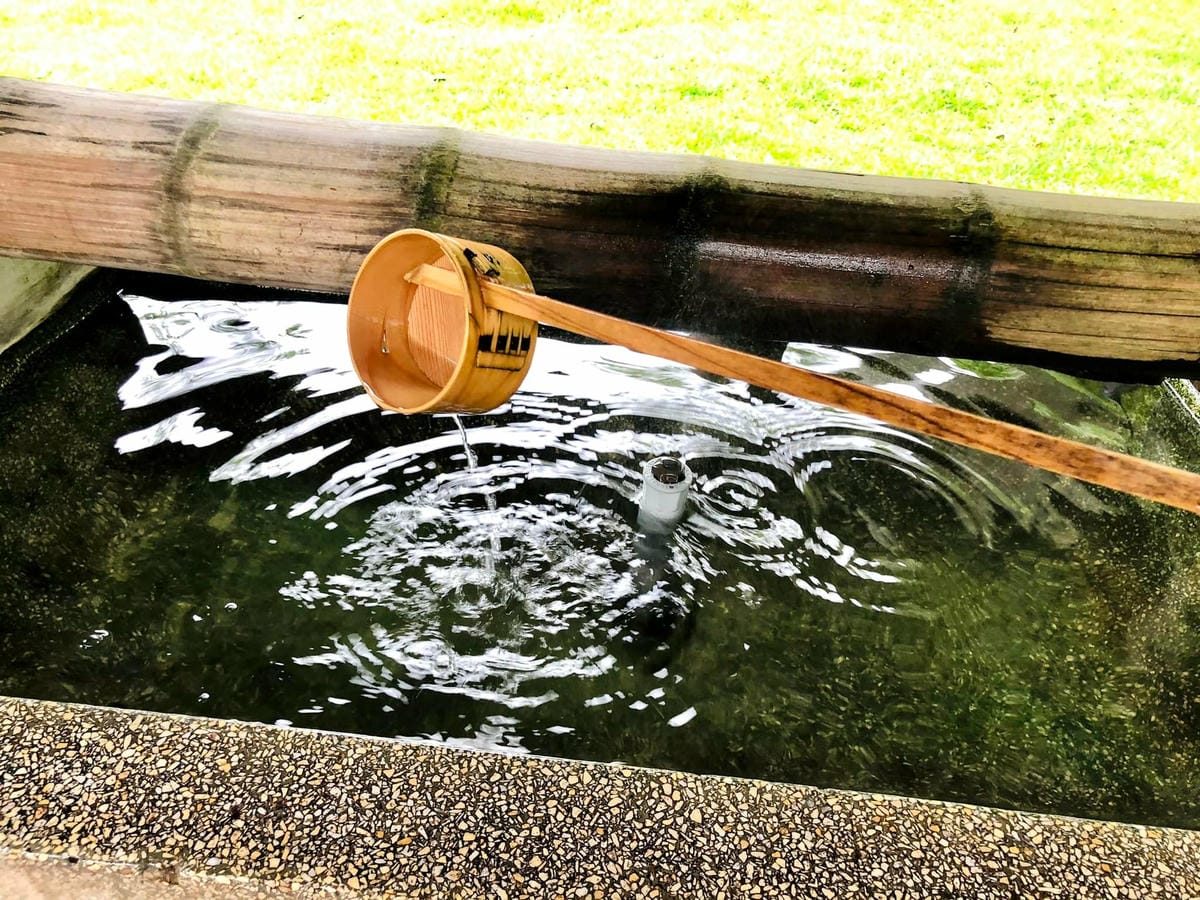 281744967_5327456710609426_4855945186500917080.jpg