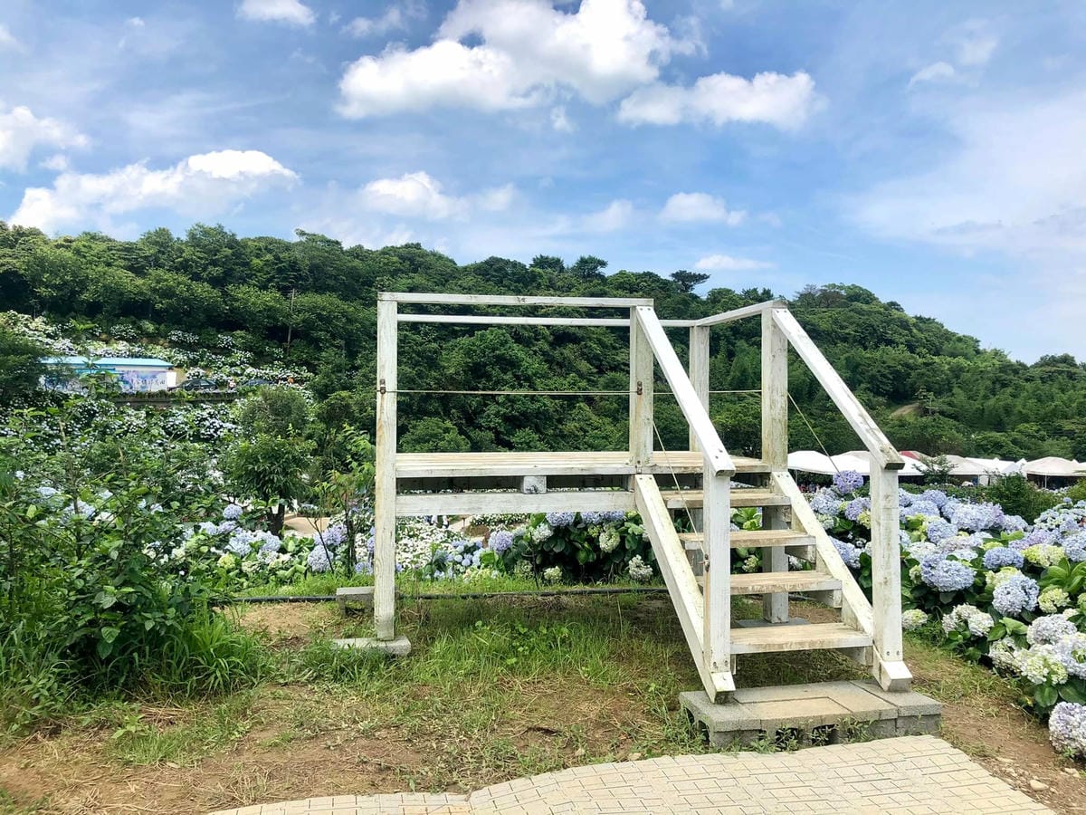 283350867_5350044675017296_475927117819046716.jpg