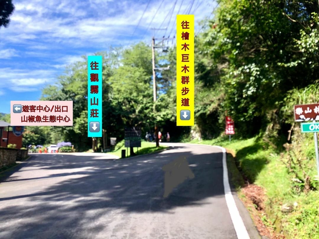 300850557_5610860555602372_8668804016938203083.jpg