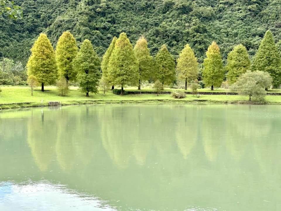 320796415_1471834293305890_5819888644456320874.jpg