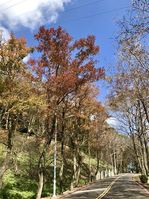 2019.12.13_石門水庫賞楓趣