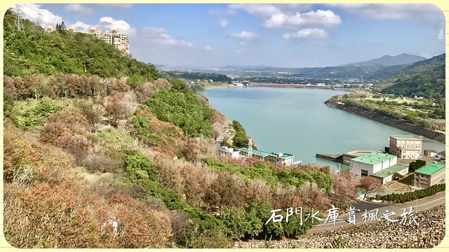 桃園【石門水庫】 全台十大賞楓景點之一!欣賞冬季楓景、湖光山色盡收眼底!假日休閒/踏青/野餐/健行好去處@柚子芳姐の旅遊札記