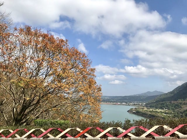 2019.12.13_石門水庫賞楓趣