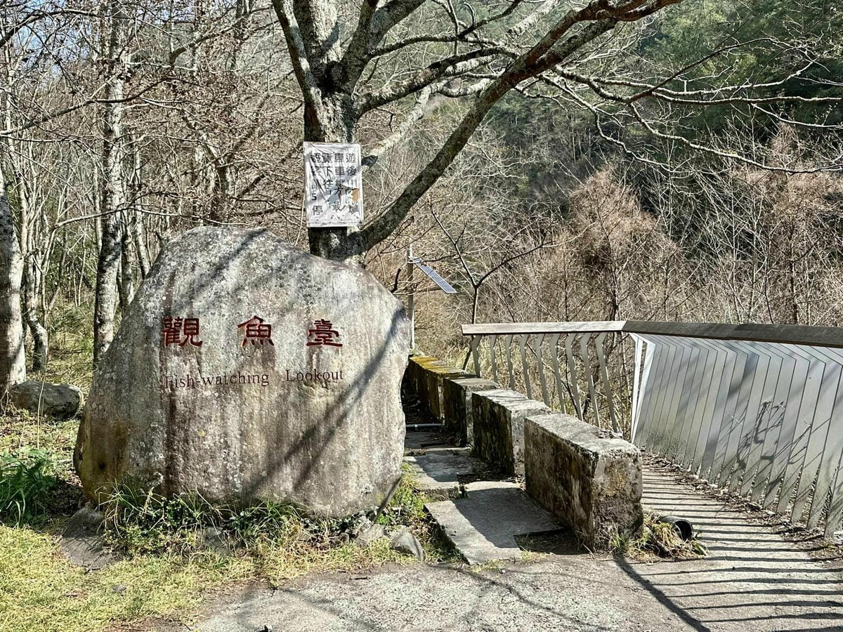 331006646_1310127876215228_3515562892387856761.jpg