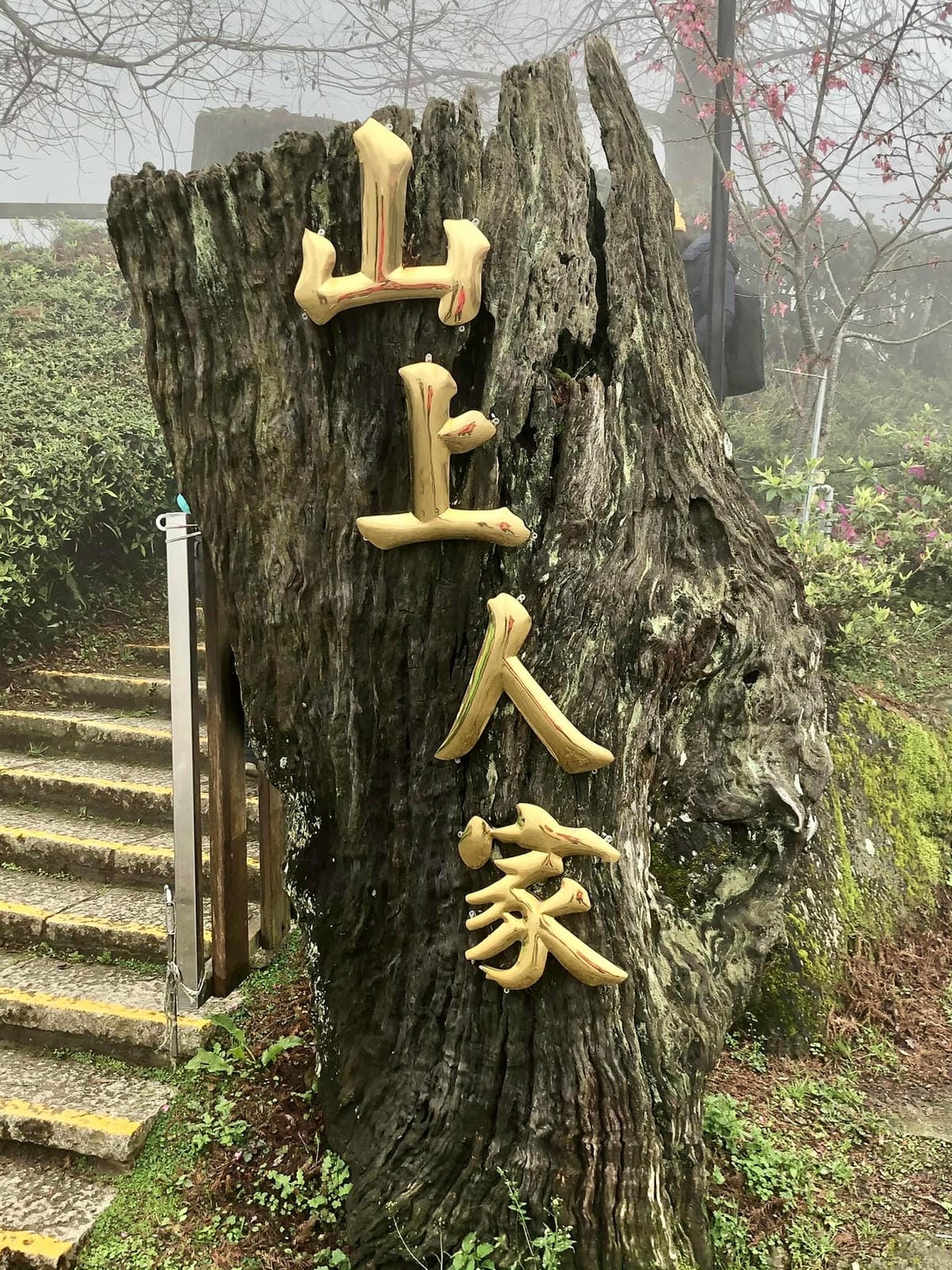 新竹五峰【英桃の天闊營地】捉住雲海季節的尾巴,站在白浪滾滾與雲霧繚繞之間/還有大漠蒙古包露營可體驗!(二訪)@柚子芳姐の旅遊札記