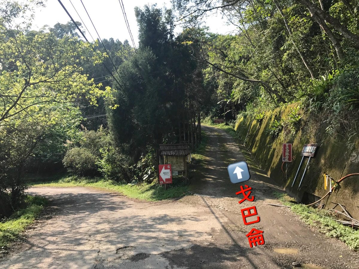 新竹五峰【英桃の天闊營地】捉住雲海季節的尾巴,站在白浪滾滾與雲霧繚繞之間/還有大漠蒙古包露營可體驗!(二訪)@柚子芳姐の旅遊札記