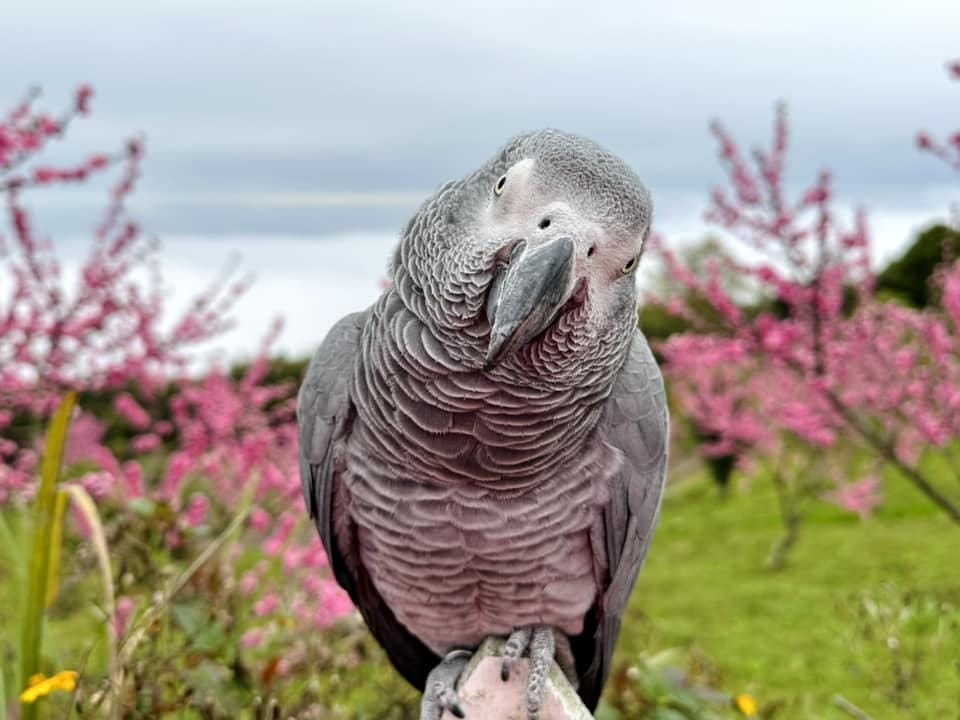 334953602_3507097339520901_4365855372987764067.jpg 334953602_3507097339520901_4365855372987764067.jpg