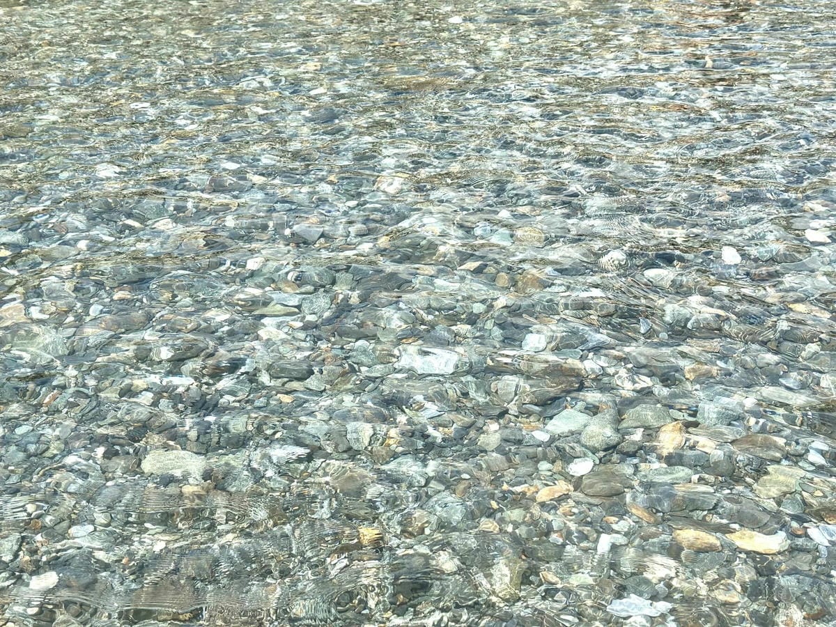 362914838_6668816133140137_744713259905804305.jpg 362914838_6668816133140137_744713259905804305.jpg
