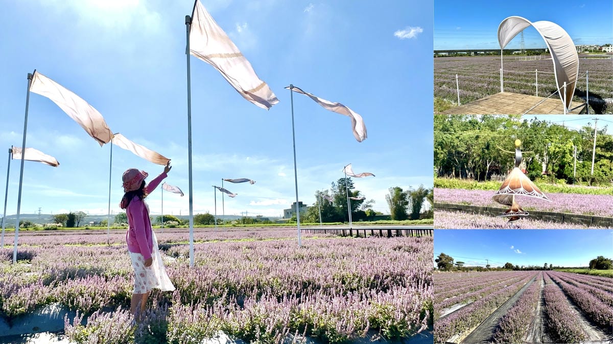 桃園【大有梯田生態公園】親子景點/共融式森林遊戲區 漫步水梯田步道/生態池、挑戰極限體能關卡、松鼠溜索、兒童遊樂區、CP超高的友善公園/可順遊蓄光石步道、桃林鐵道、桃園神社、藝文