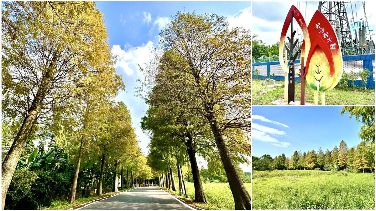 桃園【大有梯田生態公園】親子景點/共融式森林遊戲區 漫步水梯田步道/生態池、挑戰極限體能關卡、松鼠溜索、兒童遊樂區、CP超高的友善公園/可順遊蓄光石步道、桃林鐵道、桃園神社、藝文