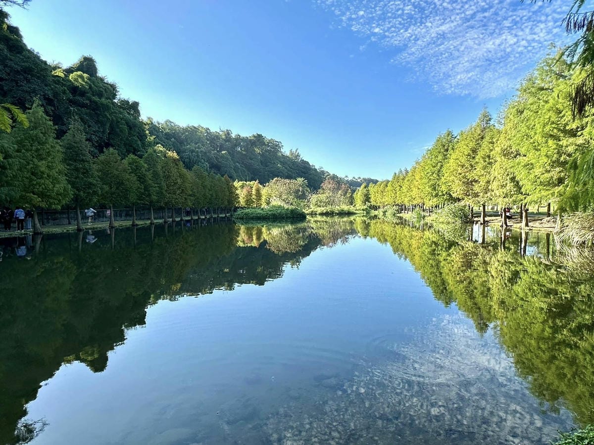 桃園【大有梯田生態公園】親子景點/共融式森林遊戲區 漫步水梯田步道/生態池、挑戰極限體能關卡、松鼠溜索、兒童遊樂區、CP超高的友善公園/可順遊蓄光石步道、桃林鐵道、桃園神社、藝文