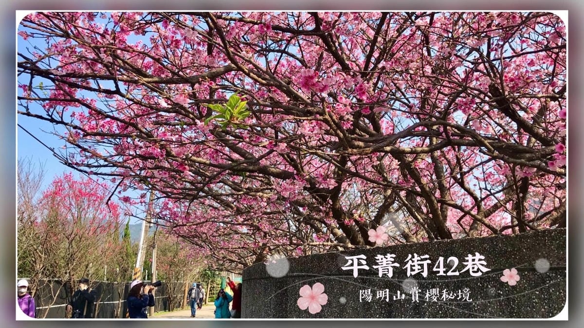 台北【國立臺灣博物館 National Taiwan Museum】 銅板價一票逛兩館/古生物館看恐龍化石、本館看特展,親子假日休閒好去處,也是雨天艷陽天室內景點/還可逛逛228公園@柚子芳姐の旅遊札記