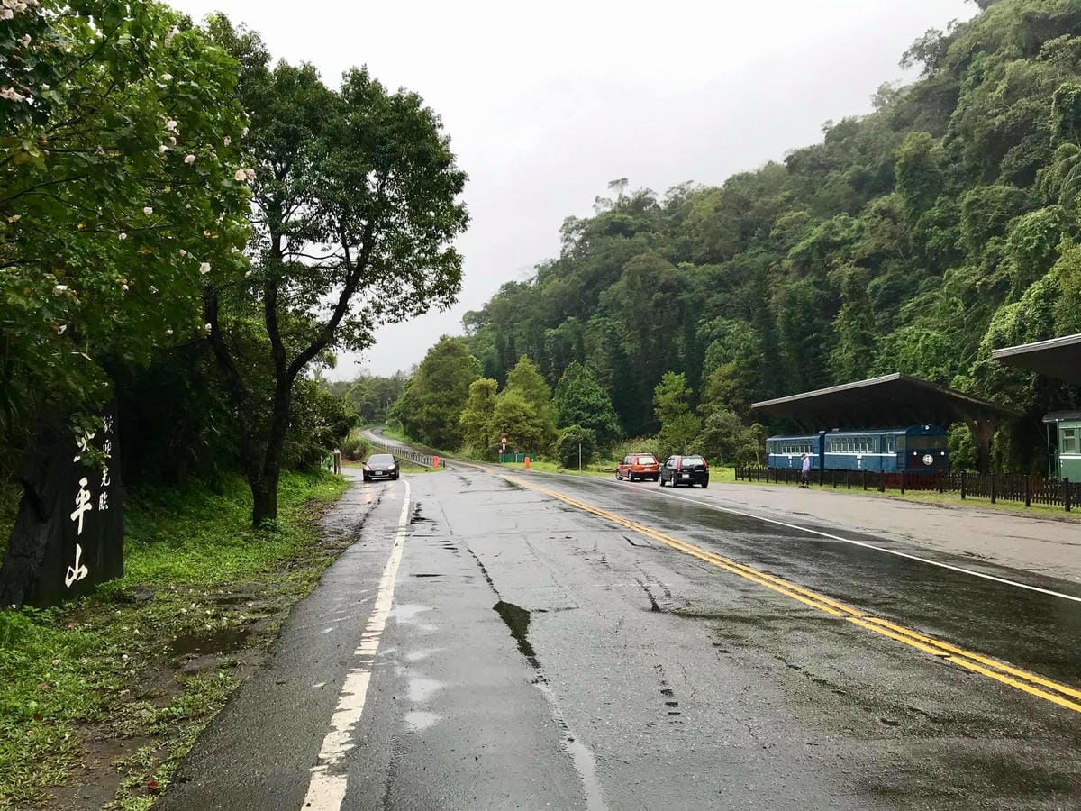 秋冬高山限定美景 台中【武陵農場】金色銀杏、夢幻楓紅、浪漫水杉、天空之鏡必賞絶美人氣景點一次滿足@柚子芳姐の旅遊札記